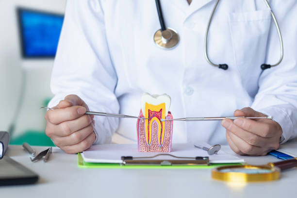 Best Emergency Wisdom Tooth Extraction in Forest Acres, SC